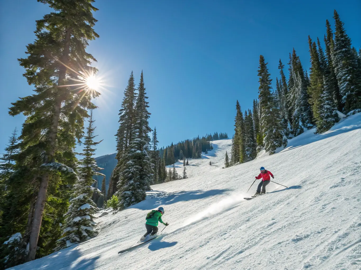 A dynamic image of a group of people cross-country skiing through a snowy forest in Vallouise, with a focus on the movement and the scenic winter landscape.